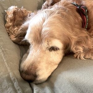 Meet your Posher, Saloni